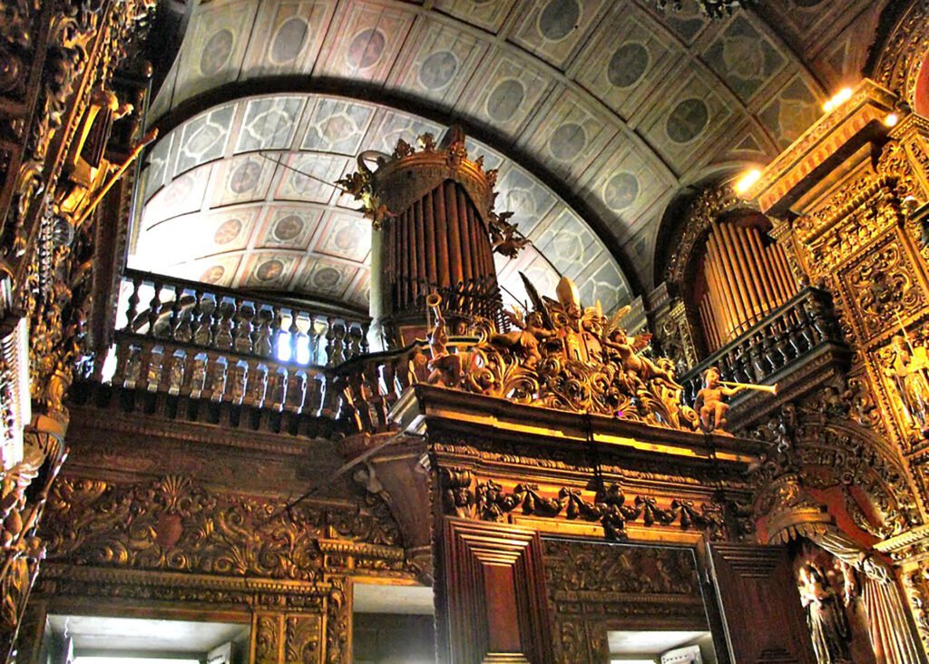 6650051617_831ed62510_b